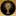 WORLDCUP26