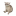 BABYCASHCAT