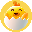 EGGPLUS