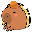 Capybara Coin