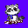 Oldest Raccoon