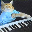 Keyboard Cat(keycatsol.com)