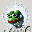 Mind of Pepe