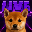 LIVE DOGE TILL 100M