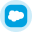 Salesforce Inc (Derivatives)