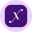 Direxion Daily Semi Bull 3X ETF Tokenized ETF (Ondo)