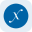 Direxion Semiconductor Bull 3X Tokenized Stock (Reality)