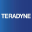 Teradyne, Inc. Common Stock (Derivatives)