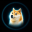The Dogestar