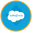 Salesforce Tokenized bStocks