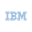 IBM Tokenized Stock (Robinhood)