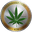 CannabisCoin