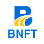Bruce Non Fungible Token (BNFT)