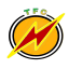 The Flash Currency (TFC)