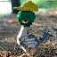 DuckDuck (DUCK)