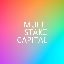 Multi-Stake Capital (MSC)