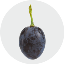 Grape (GRAPE)