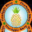 PineApple Swap (PNS)