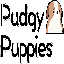 Pudgy Pups Club[new] (PUPS)