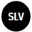 iShares Silver Trust Defichain (DSLV)