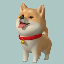 Indian Shiba Inu (INDSHIB)