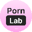 Porn Lab (PLAB)