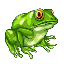 FROG (FROG)