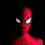 Spider Man (Spider)