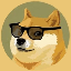 Doge 2.0 (DOGE2.0)