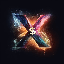 $X (X)