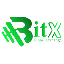 BitX Exchange (BITX)