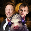 Elon Vitalik Pigs (PIGS)