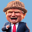 TrumpWifHat (TWIN)