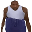 Carl Johnson (CJ)