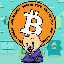 Baby BitCoin (BABYBTC)