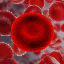 Red Blood Cell (RBC)