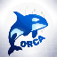 ORCA (ORCAI)