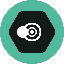 SNPIT TOKEN (SNPT)