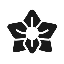 KAIKO (KAI)
