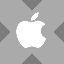 Apple tokenized stock (xStock) (AAPLX)