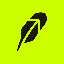 SpaceX Tokenized Stock (Robinhood) (SPCX)