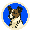 Laïka (LAIKA)