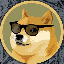 DogeCoin (DOGECOIN)