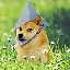 ETH DOGE (ETHDOGE)