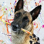 Monkey the picasso (MONKEY)