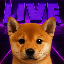 LIVE DOGE TILL 100M ($DOGE)