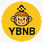 Yellow BNB (YBNB)