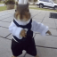 The Dancing Squirrel (BELKA)