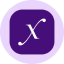 Direxion Daily Semi Bull 3X ETF Tokenized ETF (Ondo) (SOXLon)