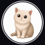 Cash Cat (cashcat.store) (CASHCAT)